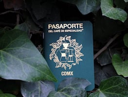 Conoce el Pasaporte del Café: una iniciativa que mueve la economía y la cultura del café mexicano