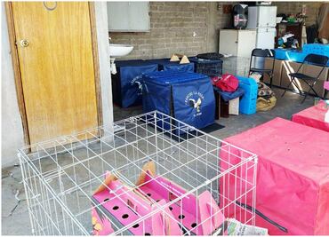 Desalojan predio en Ecatepec donde realizaban peleas de gallos y fiesta de manera clandestina