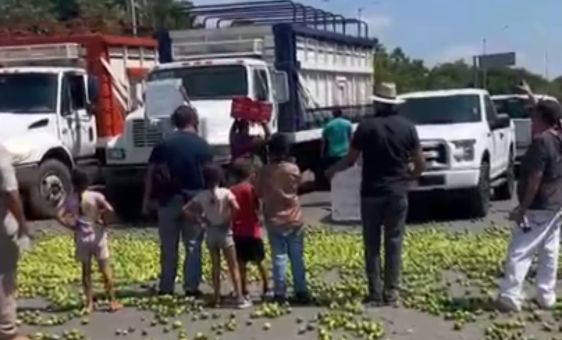 Productores de Limón de Apatzingán tiran decenas de kilos de limón en protesta (14/10/2025). Foto: Especial/ captura de pantalla