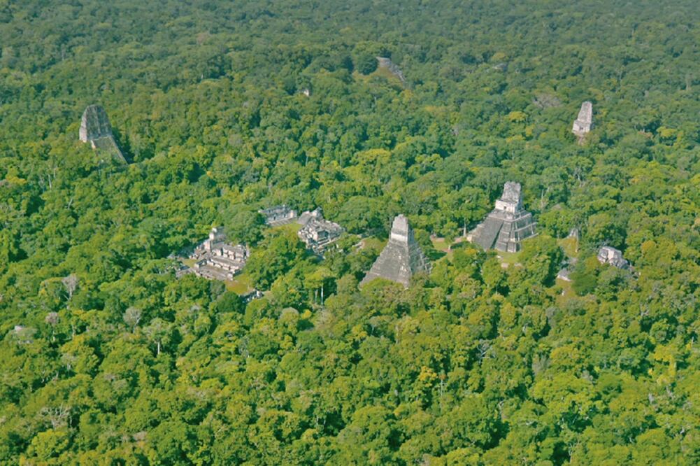 La investigación fue realizada por expertos en la selva de Guatemala (CORTESÍA NATGEO)
