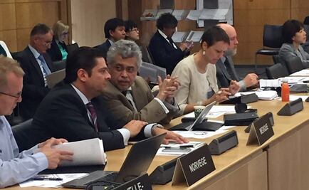 Destaca Sedesol ante OCDE avances de desarrollo económico y empleo