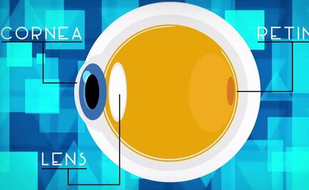 ¿Sabes cómo funcionan los lentes?