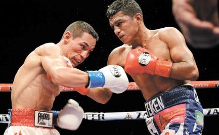 El 'Gallo' y El 'Chocolatito', listos para la batalla de revancha