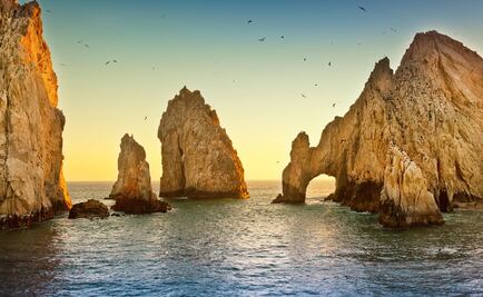 #YoPorLosOcéanos and you?