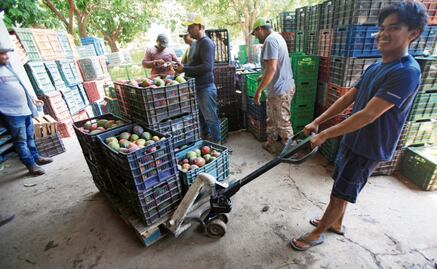 PIB agrícola en México por debajo del promedio en ALC, según un estudio del Banco Interamericano de Desarrollo