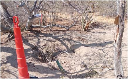 Colectivo halla 4 fosas clandestinas en Baja California Sur; Servicios Periciales trabaja para identificar los restos