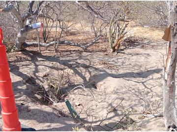 Colectivo halla 4 fosas clandestinas en Baja California Sur; Servicios Periciales trabaja para identificar los restos