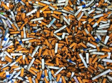 Mexican company recycles cigarette butts to help the environment