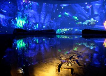 Universum está de regreso y abre con nueva exposición