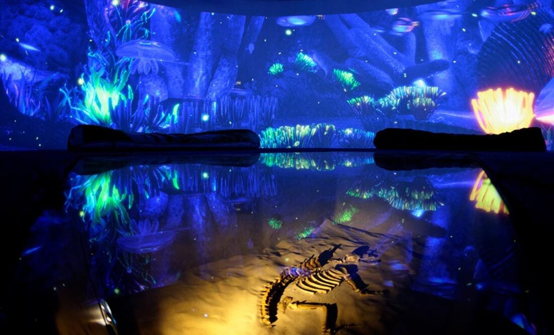 Conoce este museo que busca difundir la ciencia de una manera divertida. Foto: Cortesía Universum