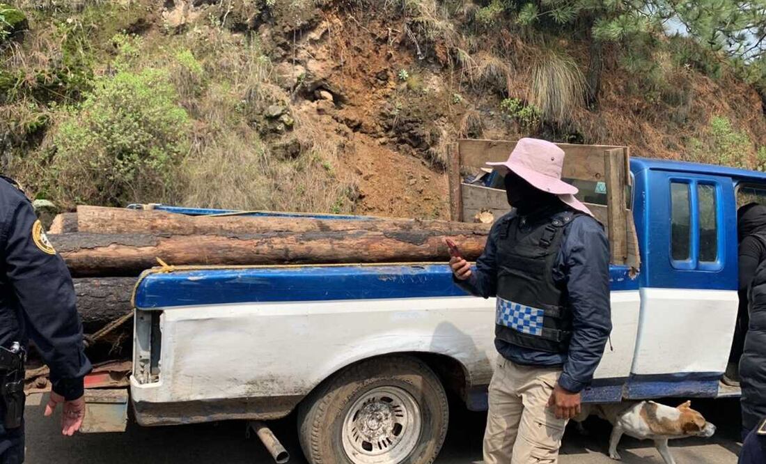 Este viernes se aseguró una camioneta blanca de tres y media toneladas que transportaba madera en rollo. Foto: Especial