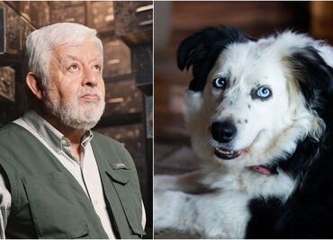 Muere "Sky", perrita de Jaime Maussan: "hasta siempre"