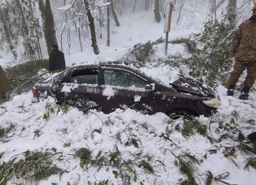 Mueren 21 personas atrapadas en sus autos tras tormenta de nieve en Pakistán