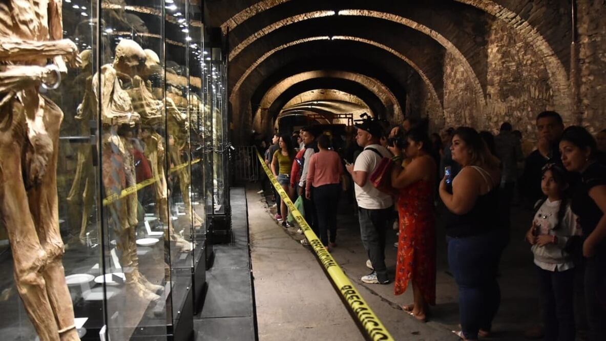 Momias de Guanajuato. Foto: Cortesía Presidencia Municipal