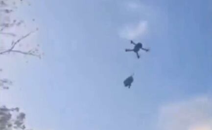 ¡Cruel! Amarran a perrito a dron y lo elevan cinco metros en Quintana Roo; activistas denuncian maltrato animal 