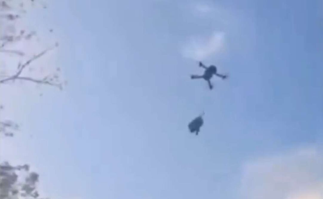 Acusan maltrato canino en Quintana Roo; amarran y elevan cinco metros a un perro con un dron. Foto: Captura de pantalla