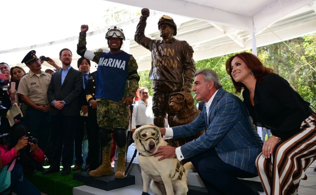 La perra rescatista es de raza labrador y tiene ocho años de servicio. Foto: Especial 