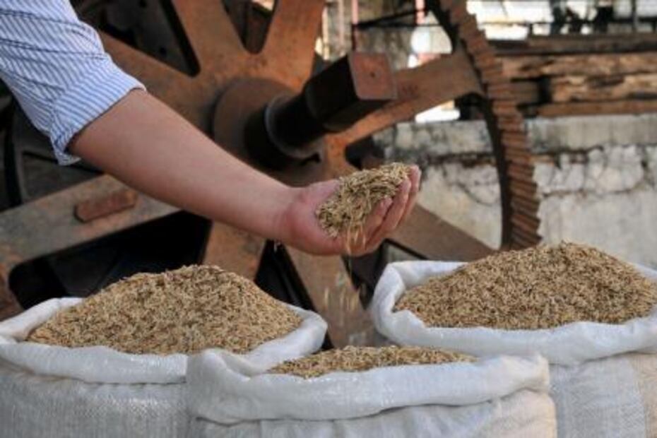 ¿Conoces las 16 cosas que sólo pueden producirse en México?