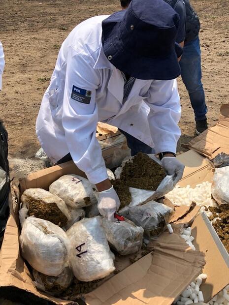 Incineran casi 300 kilos de drogas en Veracruz