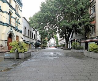 Se vive domingo libre de comercio