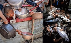 "La gran Palestina": de la esperanza al infierno en Gaza