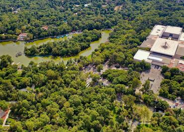 9 atractivos de Chapultepec para vacacionar en tu propia ciudad