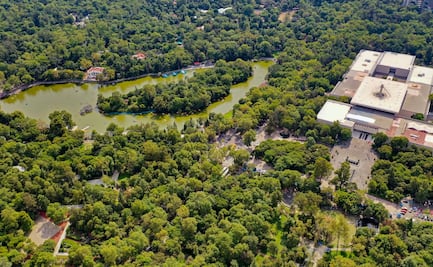 9 atractivos de Chapultepec para vacacionar en tu propia ciudad
