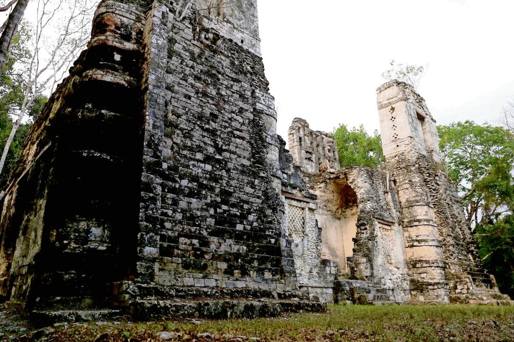 La zona arqueológica de Río Bec, al sur de Campeche, está compuesta por 74 conjuntos monumentales, que destacan por su singular arquitectura.  Foto: Diego Prado / EL UNIVERSAL