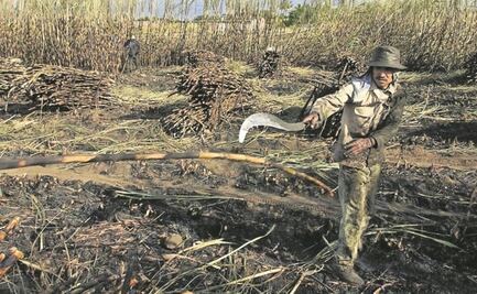 Gobierno de México responde a azucareros inconformes: la asignación de cupos de azúcar es pública