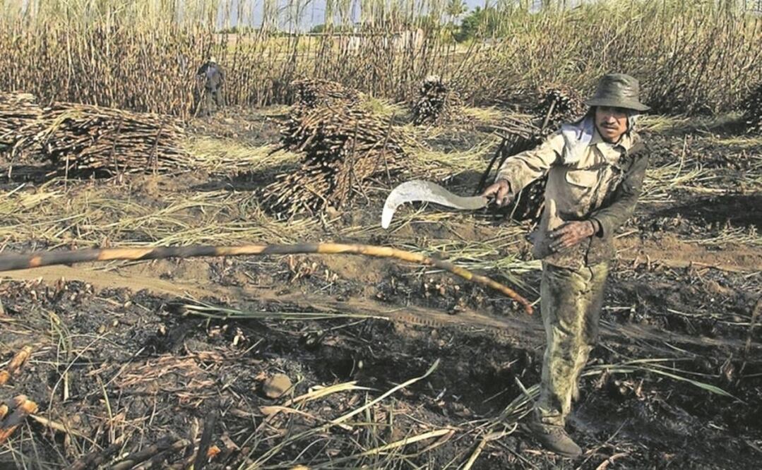 Foto: Archivo/ EL UNIVERSAL