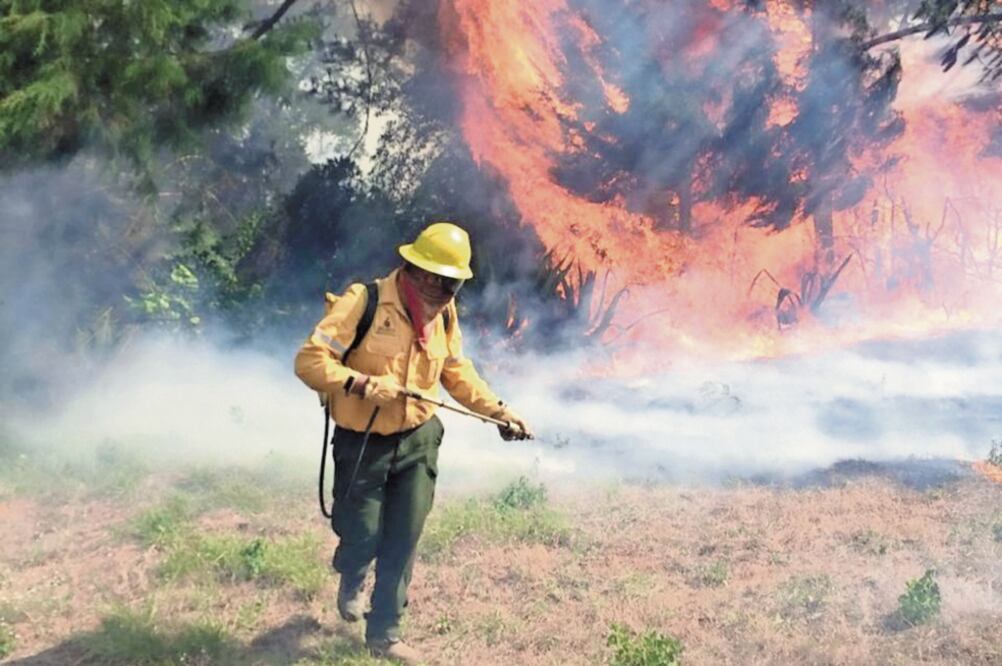 El riesgo es elevado para todo el personal que interviene en los trabajos para sofocar la conflagración. Fotos: CORTESÍA