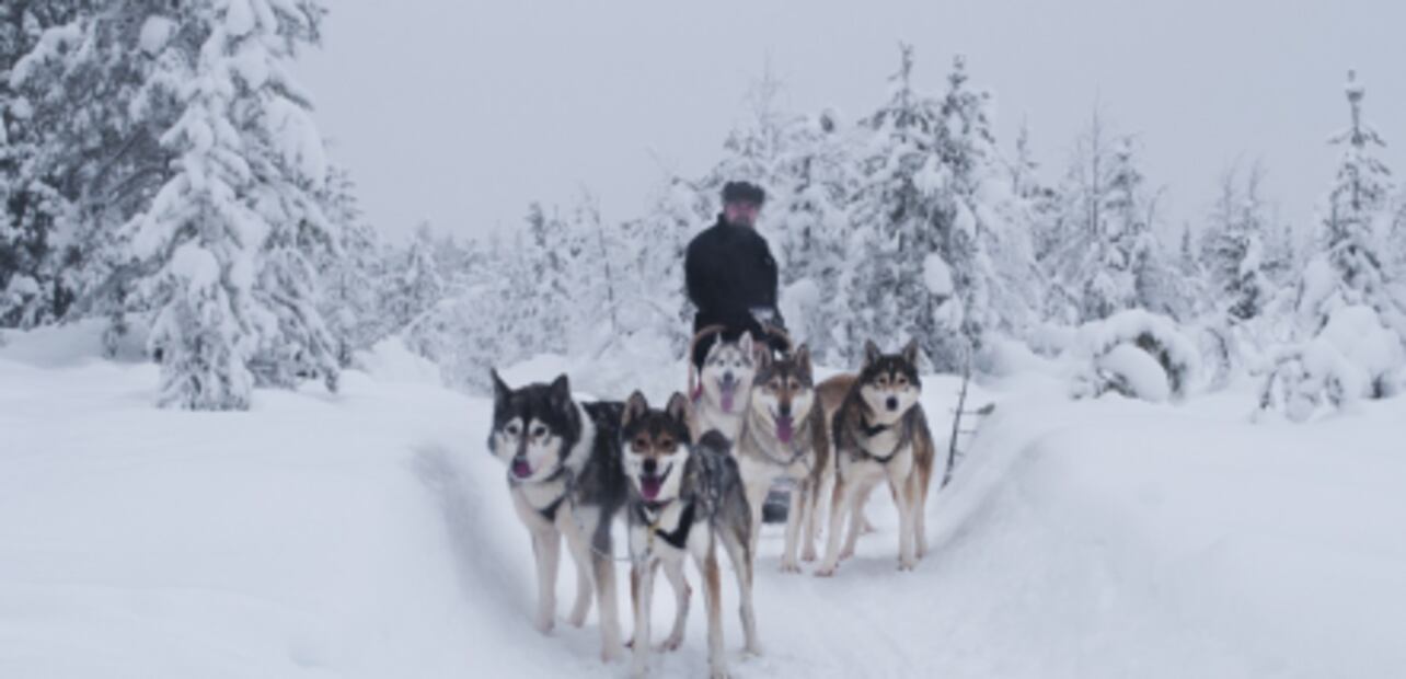 Lugares imperdibles de Finlandia, capital de la felicidad