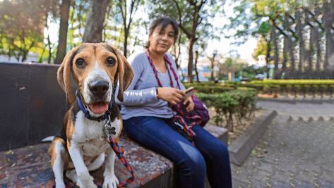 Veterinarias resienten la desconfianza a agua en BJ