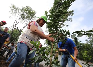 Transforman estacionamientos ilegales en huertos