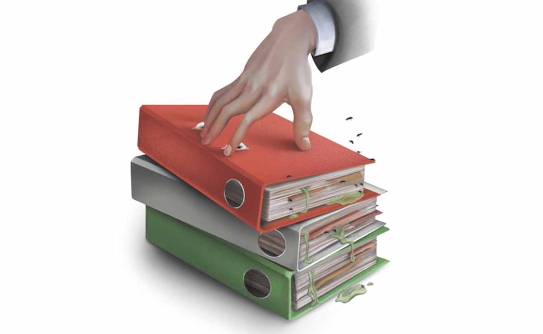 Ilustración: Liliana Pedraza