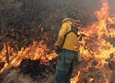 "A todos nos lloran los ojos y tenemos la nariz reseca": habitantes del Edomex se quejan por humo de incendios forestales