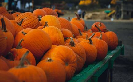 Tips para escoger frutas de temporada en el mercado