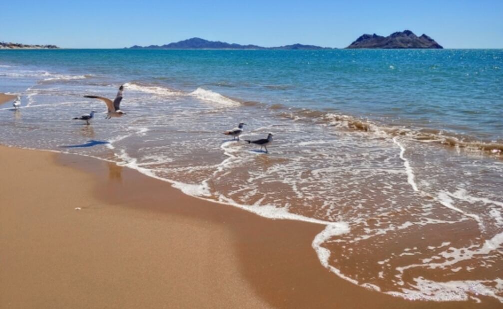 El campamento de lujo en una playa solitaria del mar de Cortés