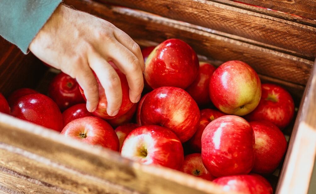 Foto: Josh Hild / Pexels