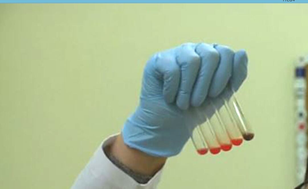 Fotografía: Archivo/ EL UNIVERSAL