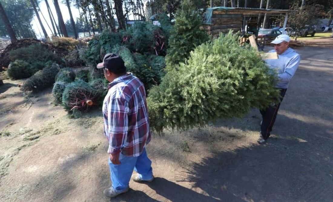 Foto: Jorge Alvarado. EL UNIVERSAL