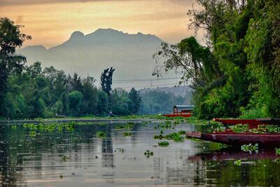 Tamales, tecolotes y una isla de espanto: paseo en Xochimilco para ver el amanecer