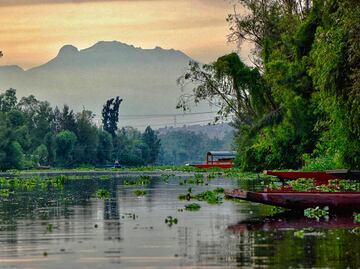 Tamales, tecolotes y una isla de espanto: paseo en Xochimilco para ver el amanecer