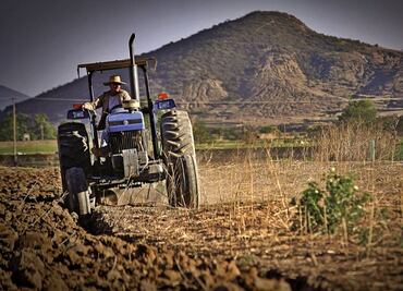 Impulsan en San Lázaro que el Presidente establezca estrategias para mitigar efectos de la sequía en el campo