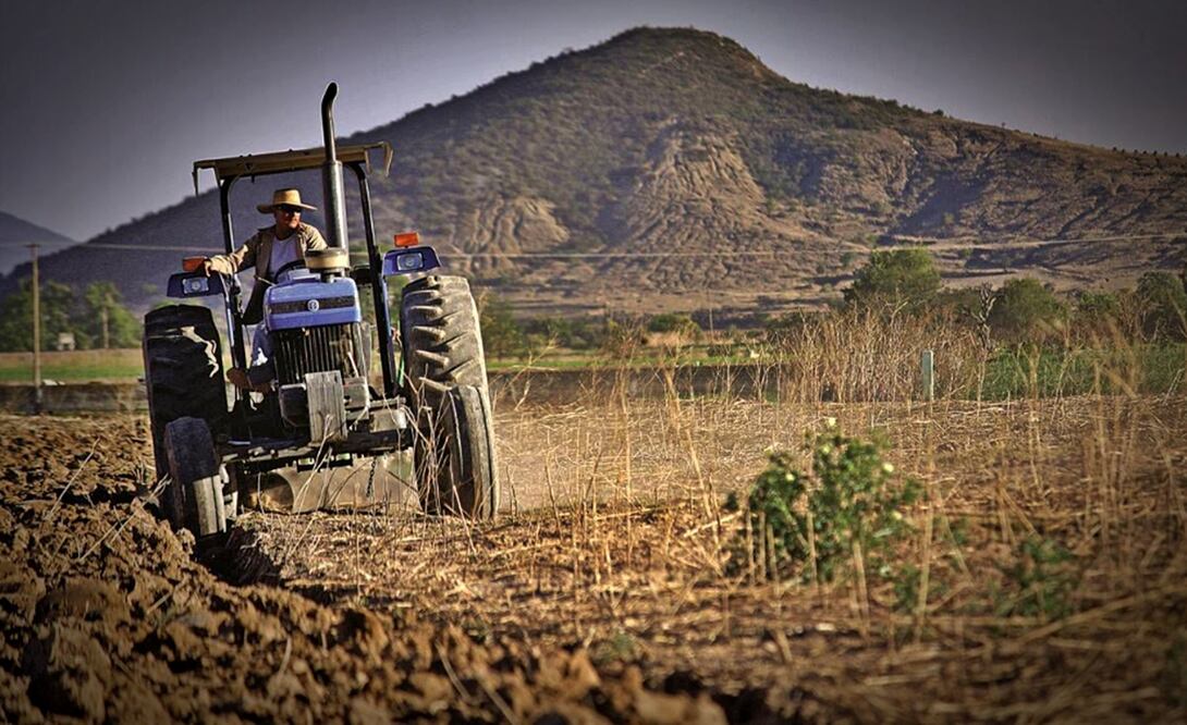Sequía en el Campo. Foto: archivo/EL UNIVERSAL