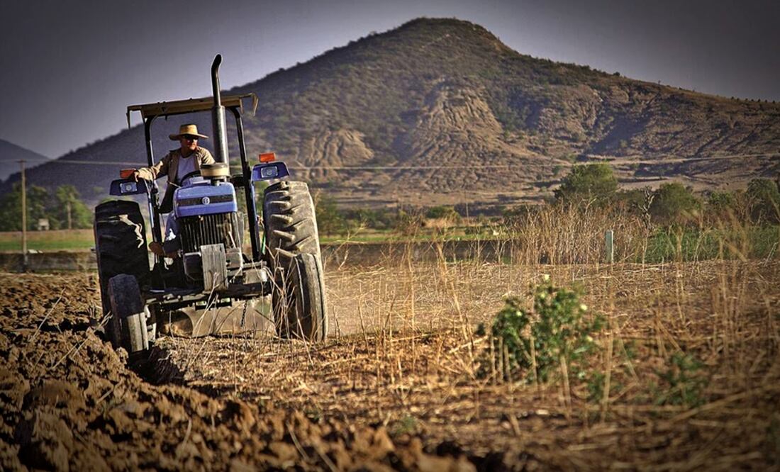 Sequía en el Campo. Foto: archivo/EL UNIVERSAL