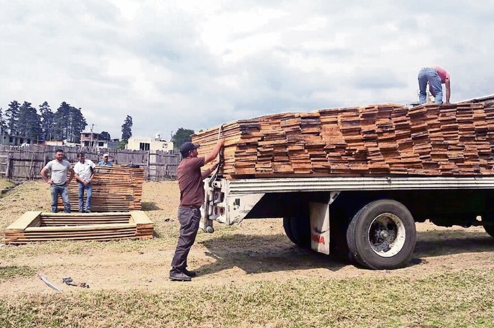 Multas. La Ley General de Desarrollo Forestal Sustentable establece sanciones por la tala ilegal de hasta 20 mil salarios vigentes (ARCHIVO. EL UNIVERSAL)