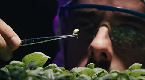 Por confirmar la Teoría de la Evolución, matemático mexicano es premiado por la Academia de Ciencias francesa