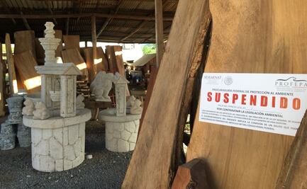 Asegura Profepa más de 10 m³ de madera en Nuevo León