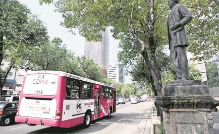 Ciclistas piden ciclovía en camellón de Paseo de la Reforma